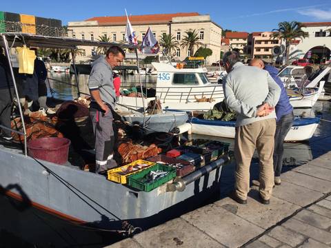 Image Title: Fresh catch of the morning in the village of Stari Grad on the island of Hvar. [Photo: Open Door Travelers]