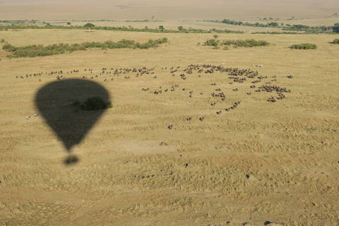 Image Title: Balloon Silhouette over a confusion (herd) of Wildebeests and a dazzle (herd) of Zebras. [Photo: Open Door Travelers]