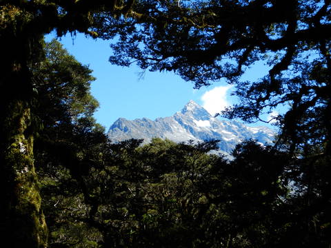 Image Title: Mt Lyttle from the Routeburn Track. [Photo: Open Door Travelers]