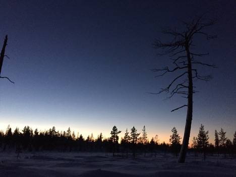 Image Title: Arctic Circle Sunset from a dog sled at 2:30pm in November 2015