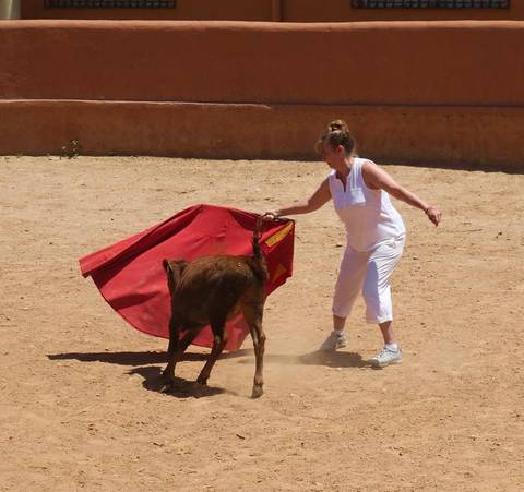 Image Title: Amateur bull fighting el becerro at a bull ranch near Pamplona. [Photo: Open Door Travelers]