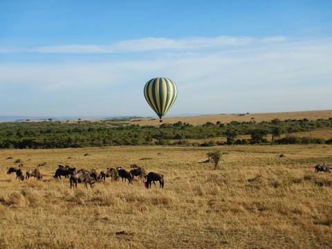 Image Title: Balloon Safari over Wildebeests. [Photo: Open Door Travelers]