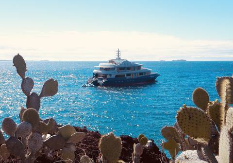 Image Title: MV Camila anchored off Isla Rabida. [Photo: Open Door Travelers]