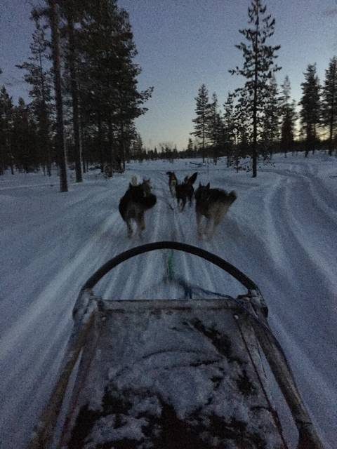 Image Title: Dog Sledding across the Arctic Tundra at Twighlight [Photo: Open Door Travelers]